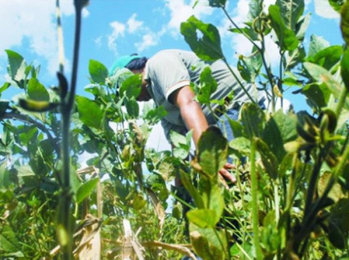 Agropecuarios cruceños aseguran que no son parte de bloqueos por demandas de biotecnología