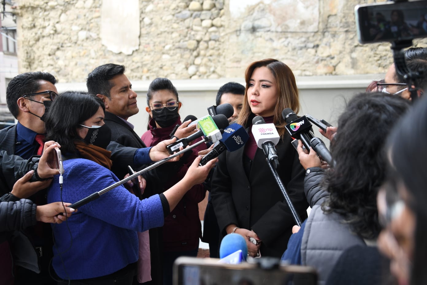 Viceministra Alcón considera un desliz declaración del diputado Arce sobre el Presidente