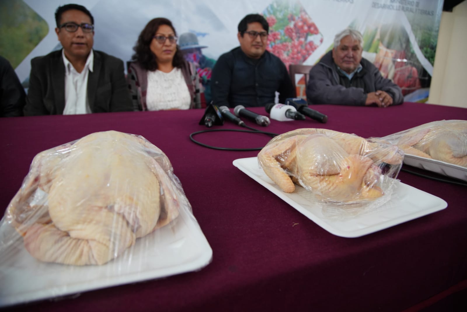 Avicultores garantizan abastecimiento de carne de pollo yungeño, “más natural y apetecible”