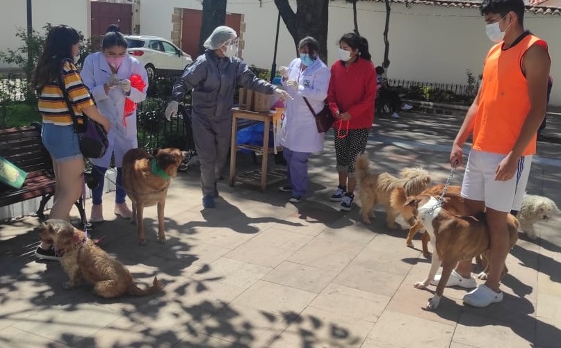 Chuquisaca reporta primer caso de rabia canina del año