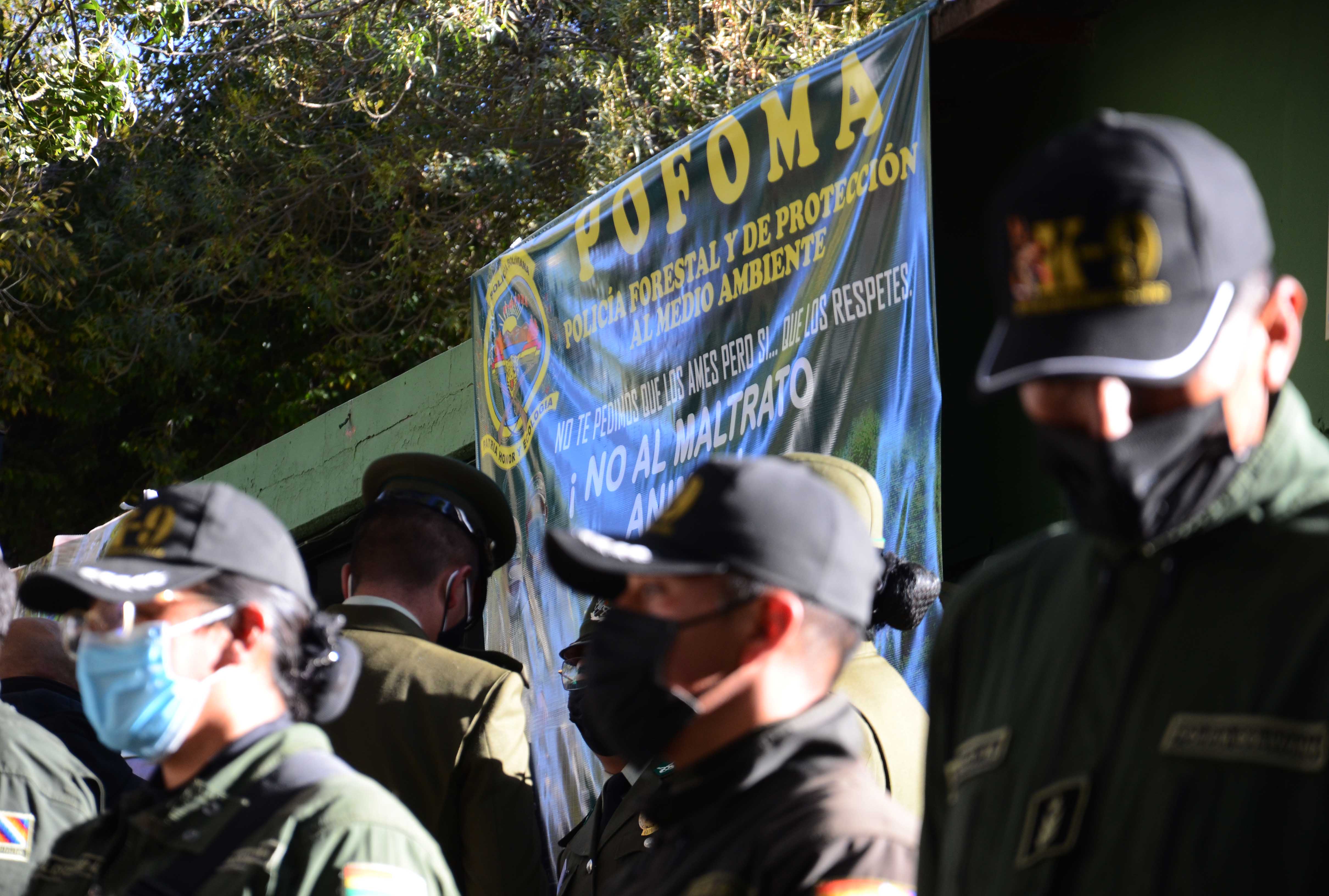 Pofoma rescata a dos águilas y un mono en La Paz