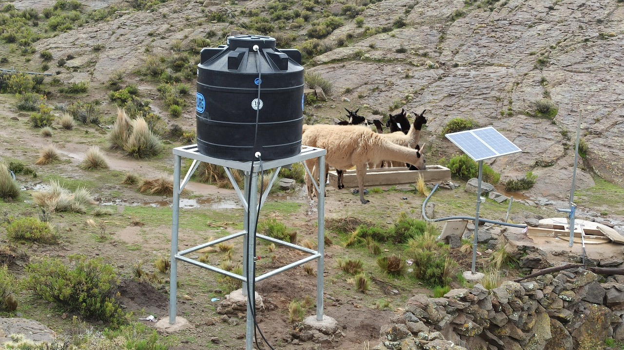 Pro – Camélidos gana premio internacional por su gestión ganadera adaptada a la crisis climática