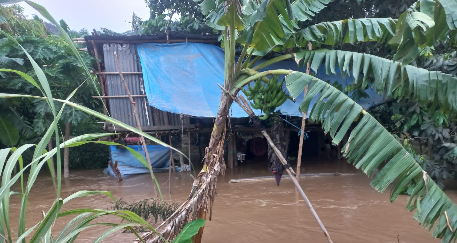Alrededor de 1.600 familias fueron afectadas por el desborde ríos en el norte de La Paz