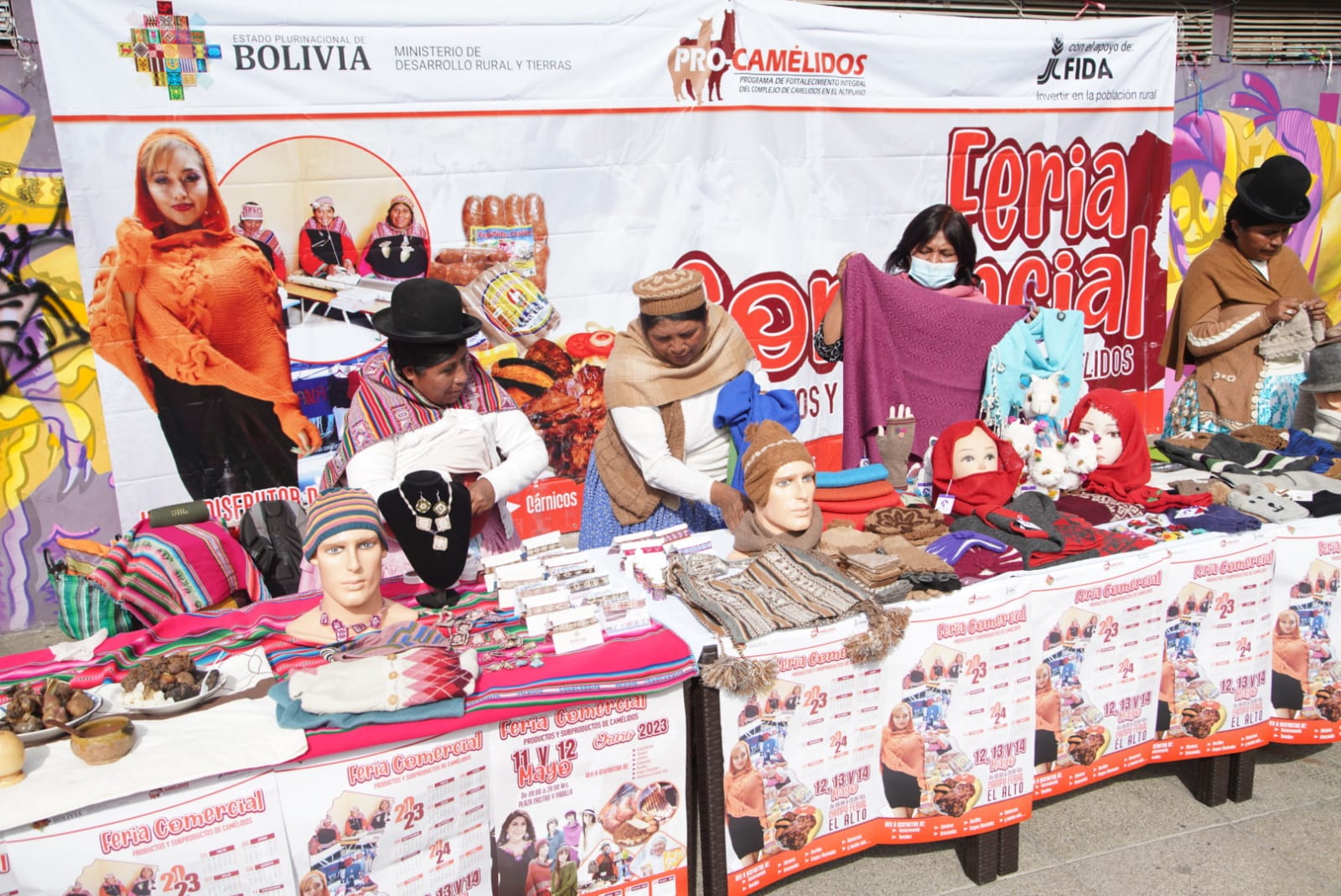 Productores y artesanos invitan a la Feria comercial de camélidos en El Alto y Oruro