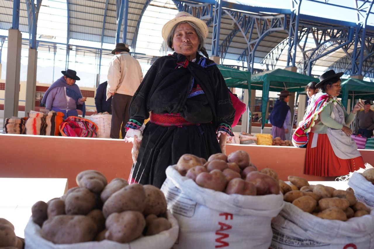 Festival nacional de la papa en Betanzos expone más de 60 variedades del tubérculo