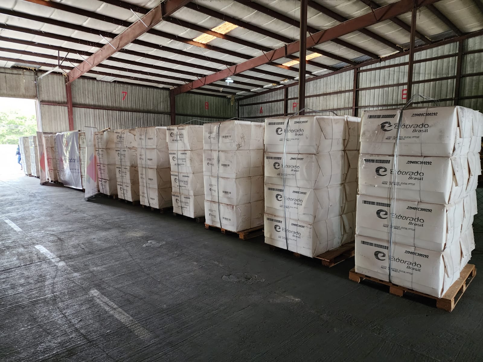 Aduana subastará 57 toneladas de celulosa, materia prima para fabricar papel y cartón 