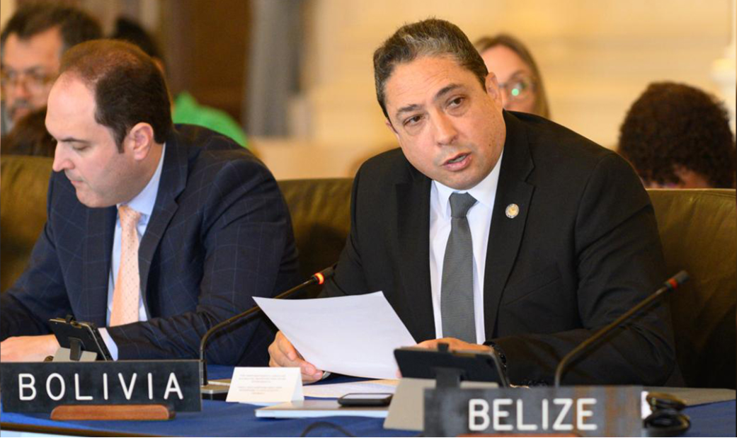 El embajador de Bolivia ante la OEA, Héctor Arce Zaconeta. Captura.