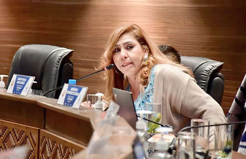 Comisión Mixta convoca a sesión para tratar reglamento y convocatoria para las judiciales