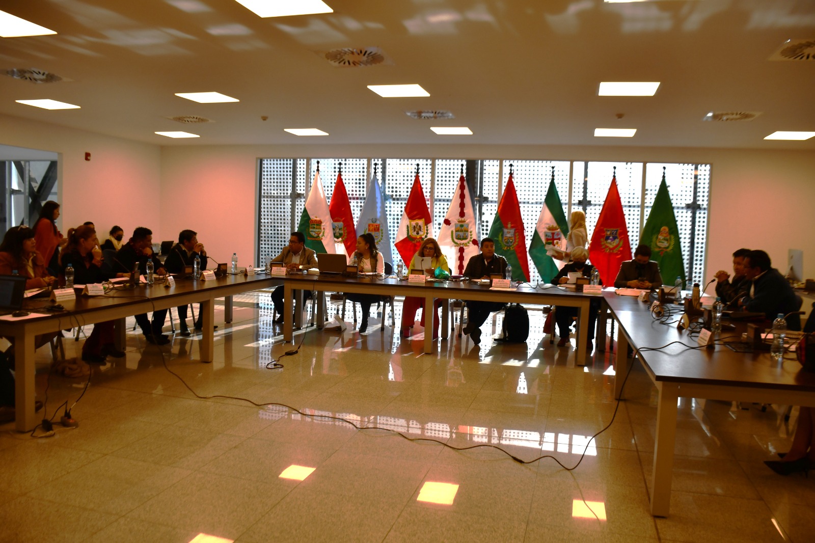 Comisión de Constitución se reunirá con el TCP para conocer alcances de su decisión que frenó las judiciales