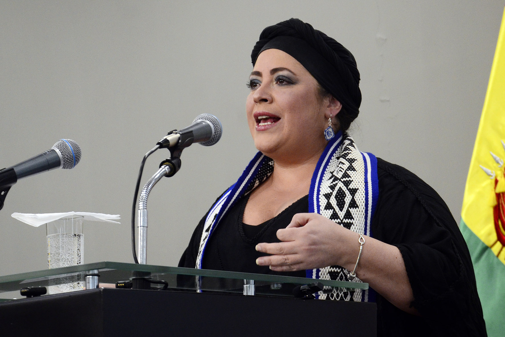 Gobierno prepara reunión de alto nivel con Chile sobre autos robados