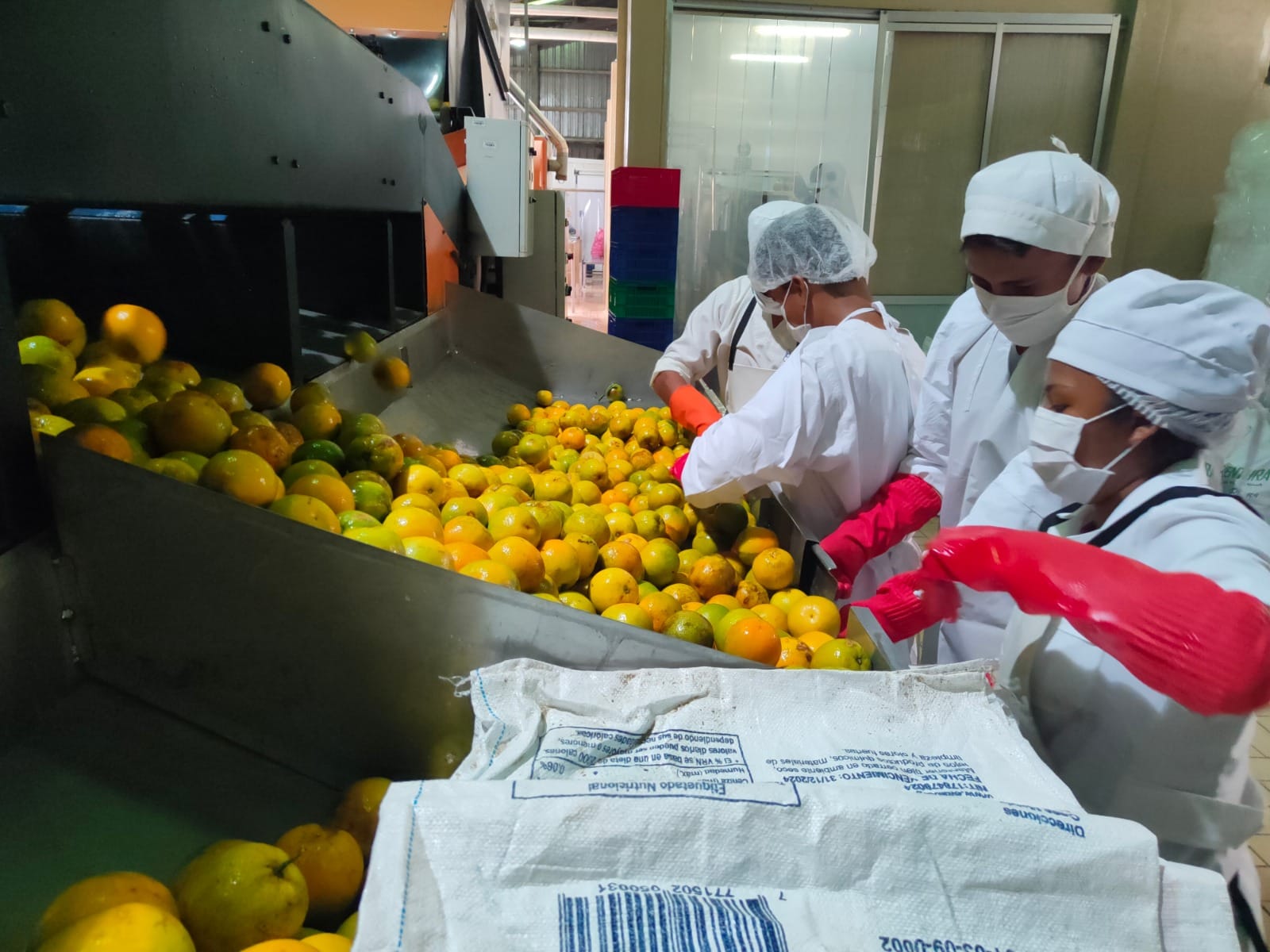 Plantas industriales de EBA en La Paz generan más de Bs 25,7 millones por ventas en el primer trimestre