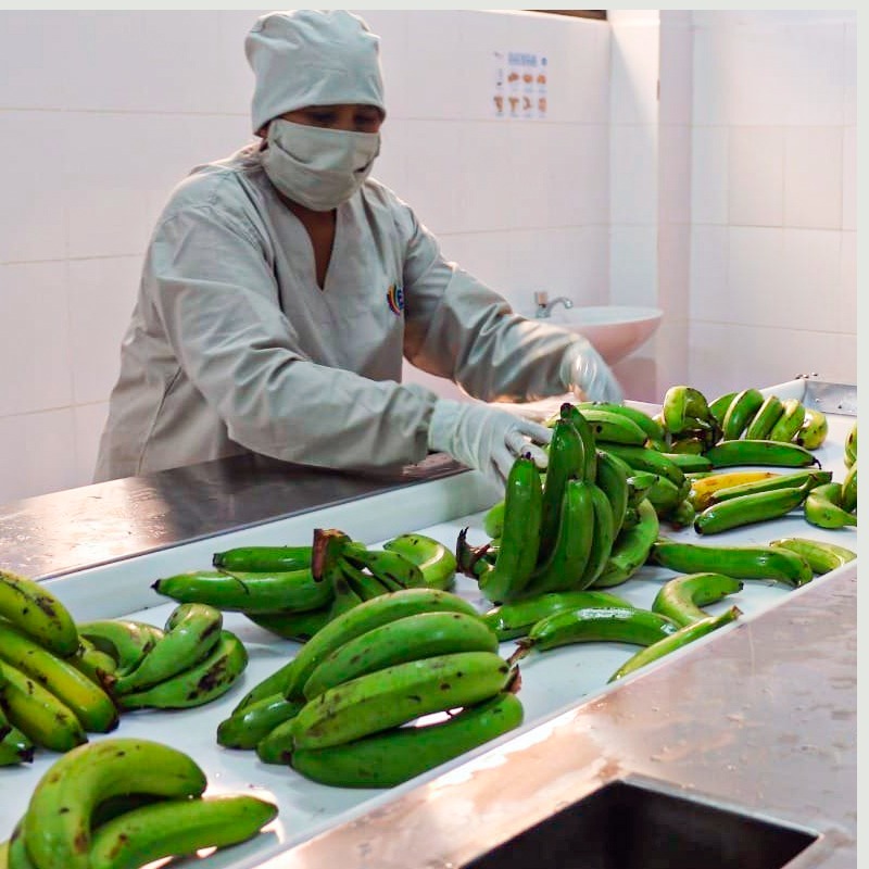 Presidente destaca que la “Marcha al Norte” paceño avanza a paso firme con la industrialización