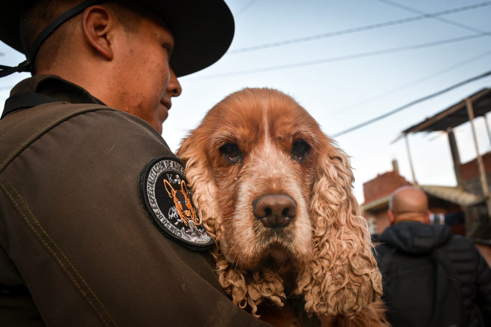 Policía adiestrará a 65 canes en situación de calle para fomentar la adopción y tenencia responsable