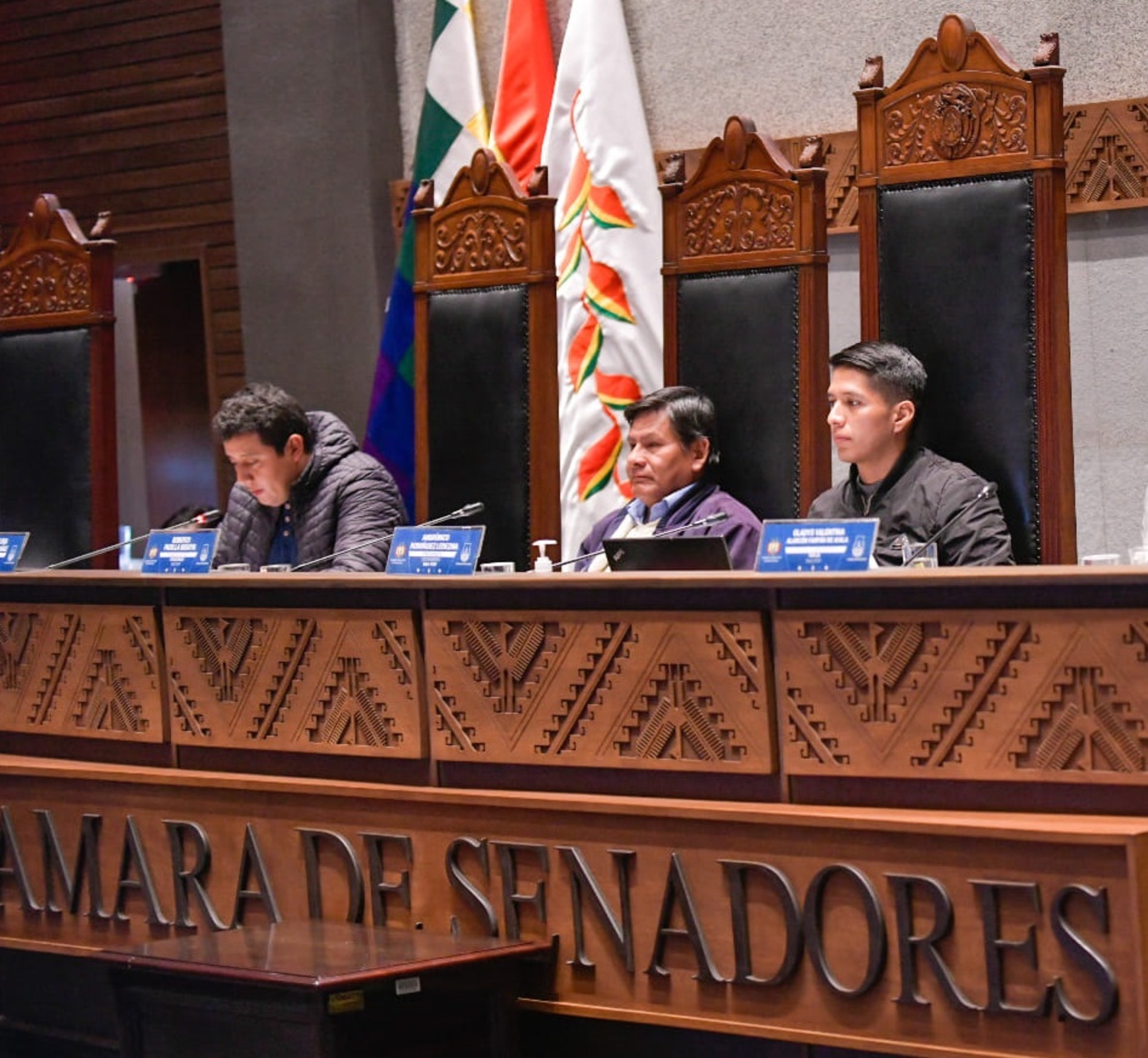 Piden al vicepresidente del Estado convocar a reunión de ambas cámaras para allanar la ley de las judiciales