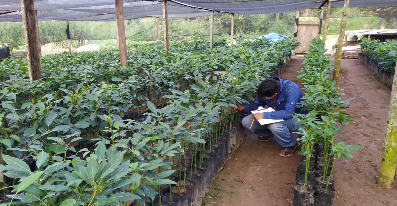 Destinan más de Bs 5 millones para explorar potencial productivo y ambiental en tres macroregiones 