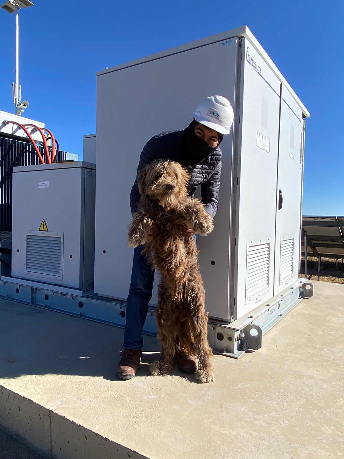 Más de 30 mascotas forman parte de los equipos de trabajo de ENDE Corporación