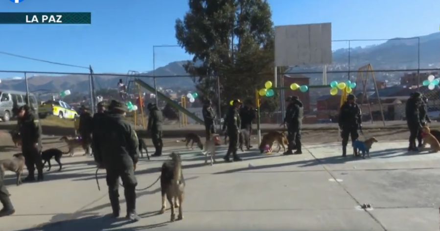 Policía Boliviana agasaja a los perritos rescatados en su día