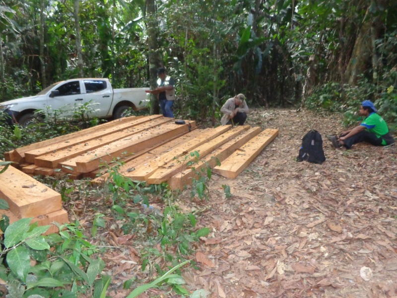 Incautan madera ilegal y activan controles contra el tráfico de vida silvestre en Pando