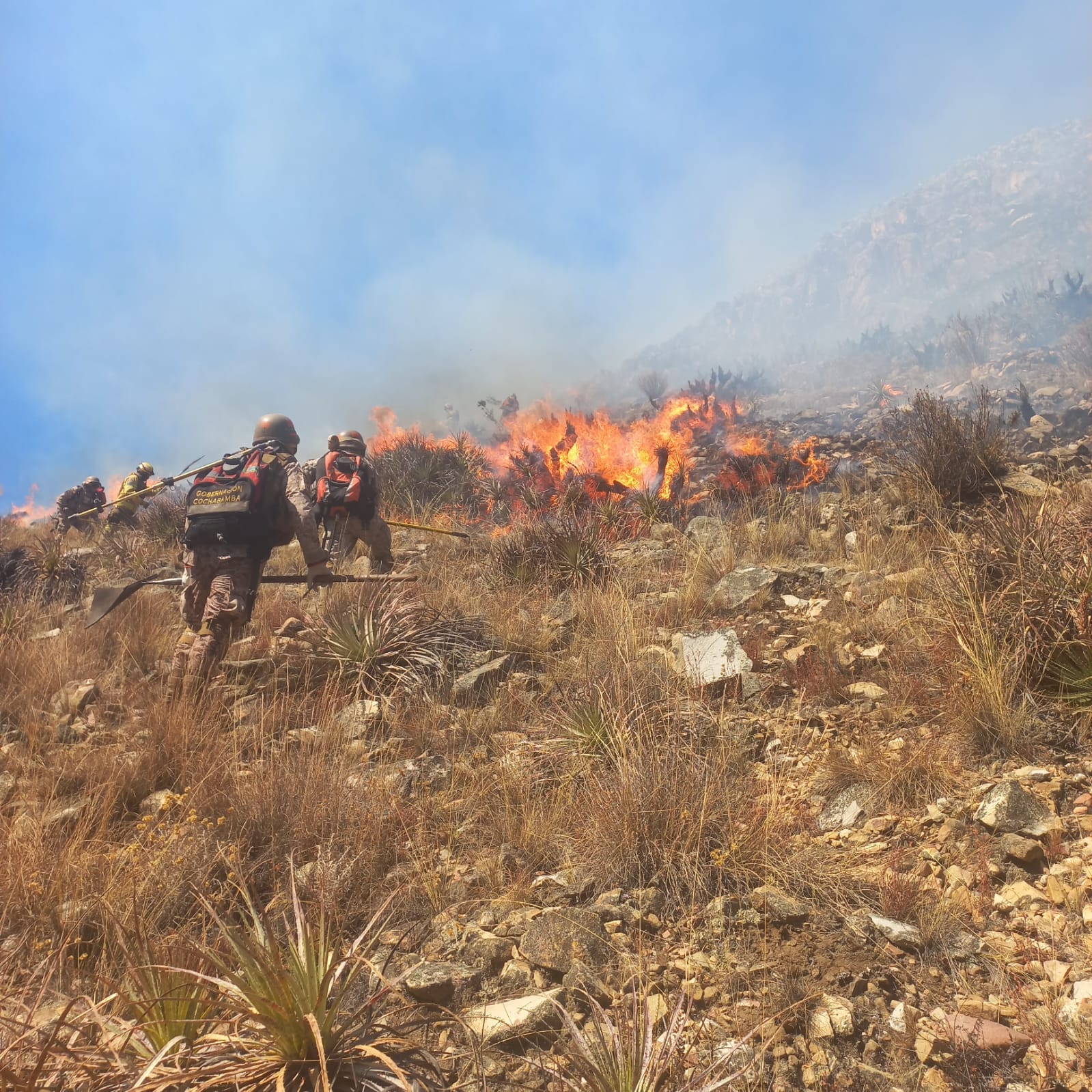 Grupo SAR-FAB sofoca incendio forestal en Cochabamba 