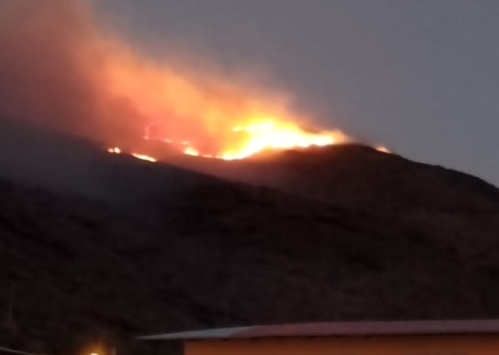 Sernap denuncia que incendios forestales son provocados “por gente maliciosa”