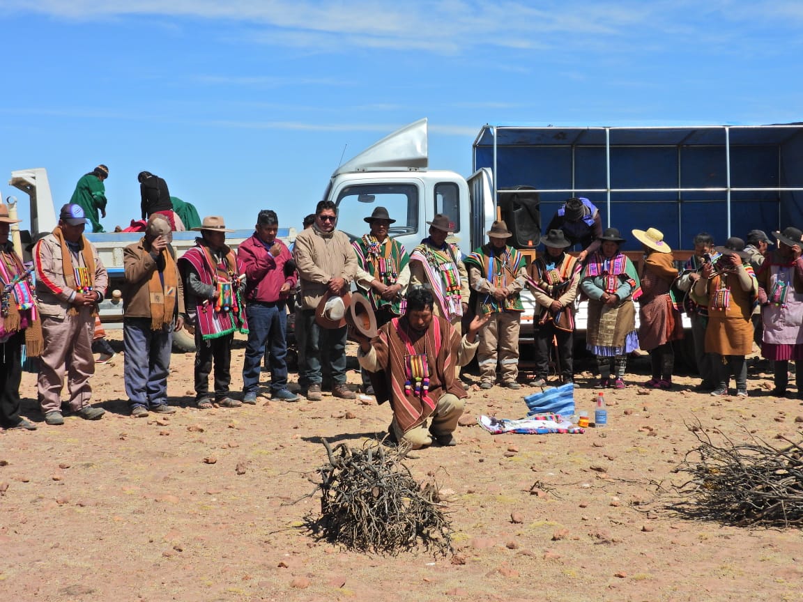Inicia la temporada de aprovechamiento sostenible de fibra de vicuña 