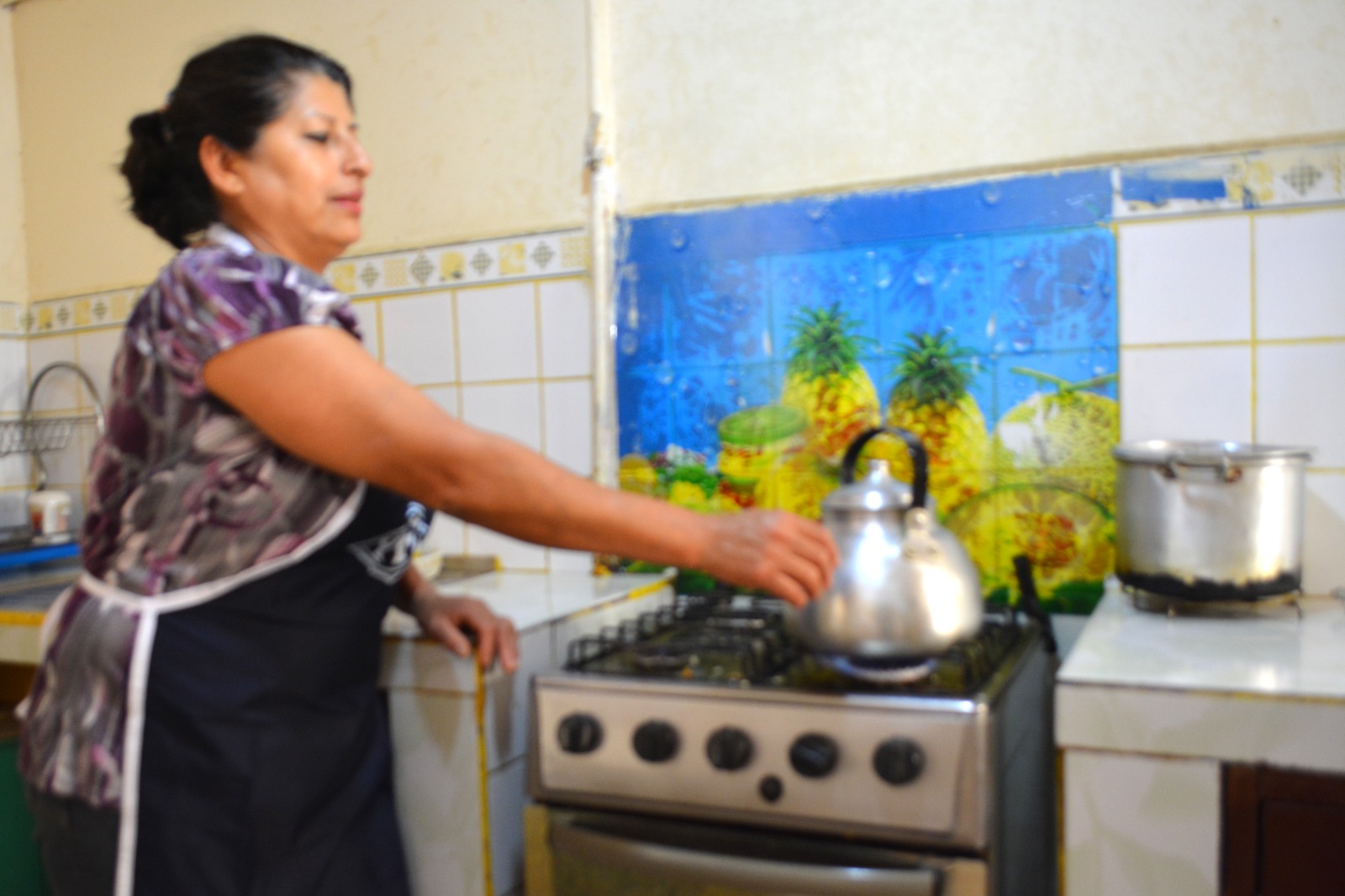 En Coroico y Caranavi fueron instaladas 2.711 redes de gas domiciliaria