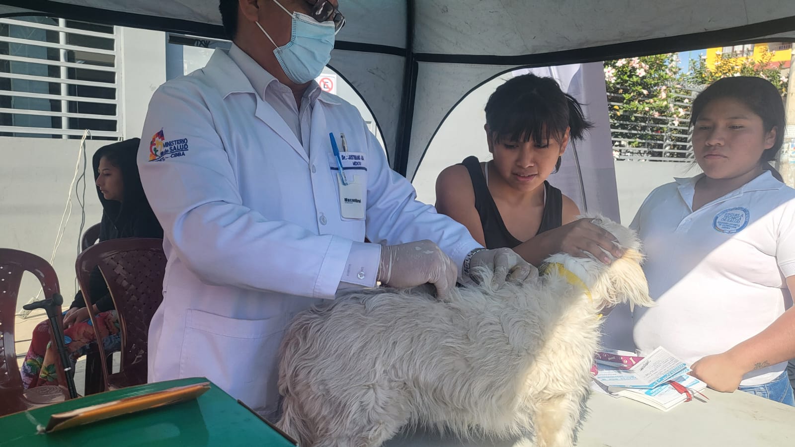 Campaña de vacunación antirrábica avanza, Potosí y Beni con mayor cobertura