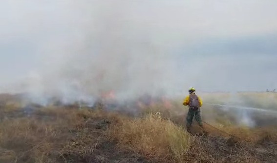 Incendio en el Parque Nacional de Otuquis fue sofocado en su totalidad