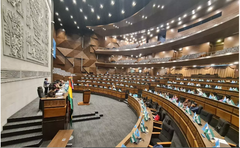 Comité Plurinacional de la Niñez y Adolescencia exige a diputados reiniciar tratamiento del Proyecto de Ley 372