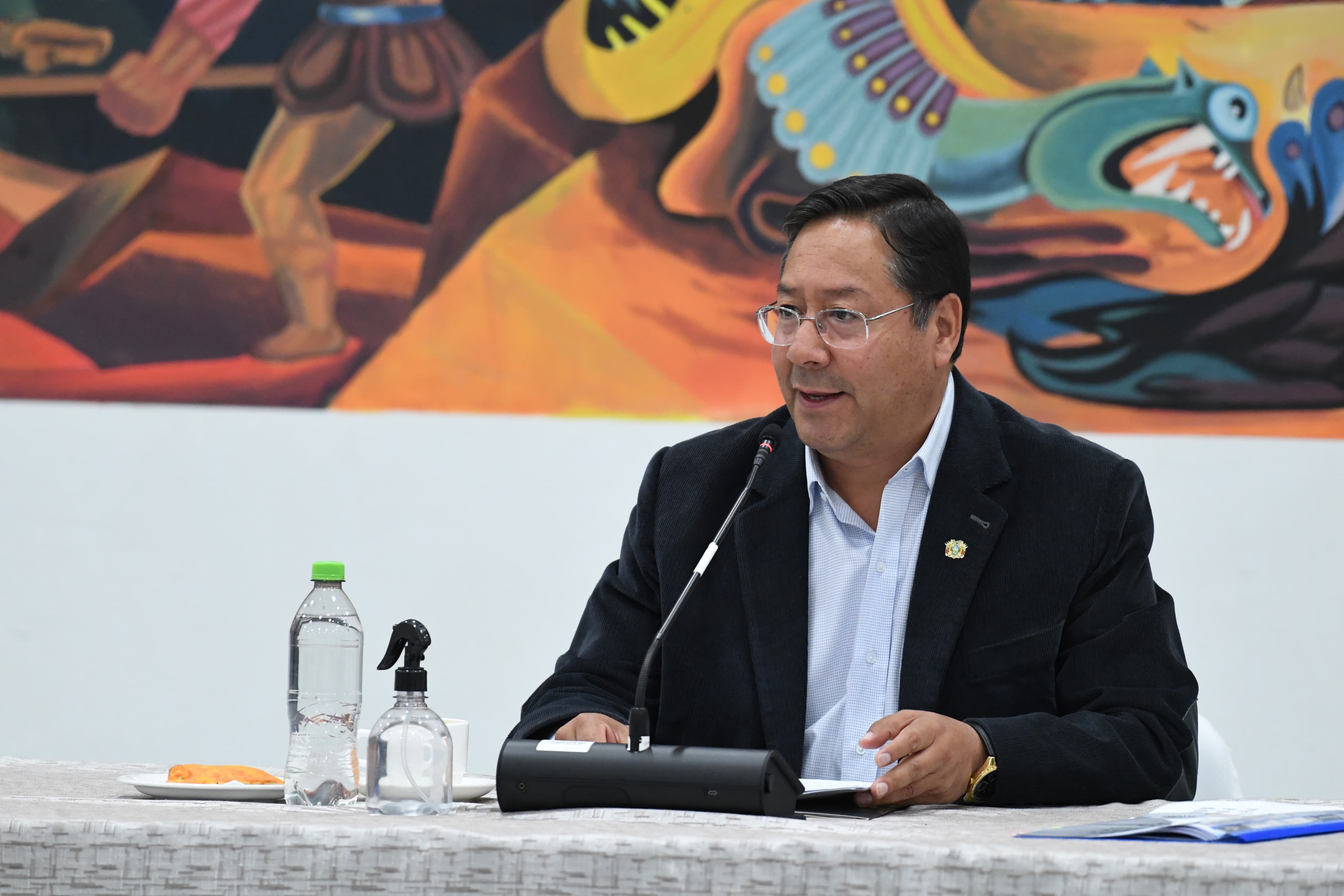 Presidente asegura que está ocupado en la gestión y niega denuncias de Morales