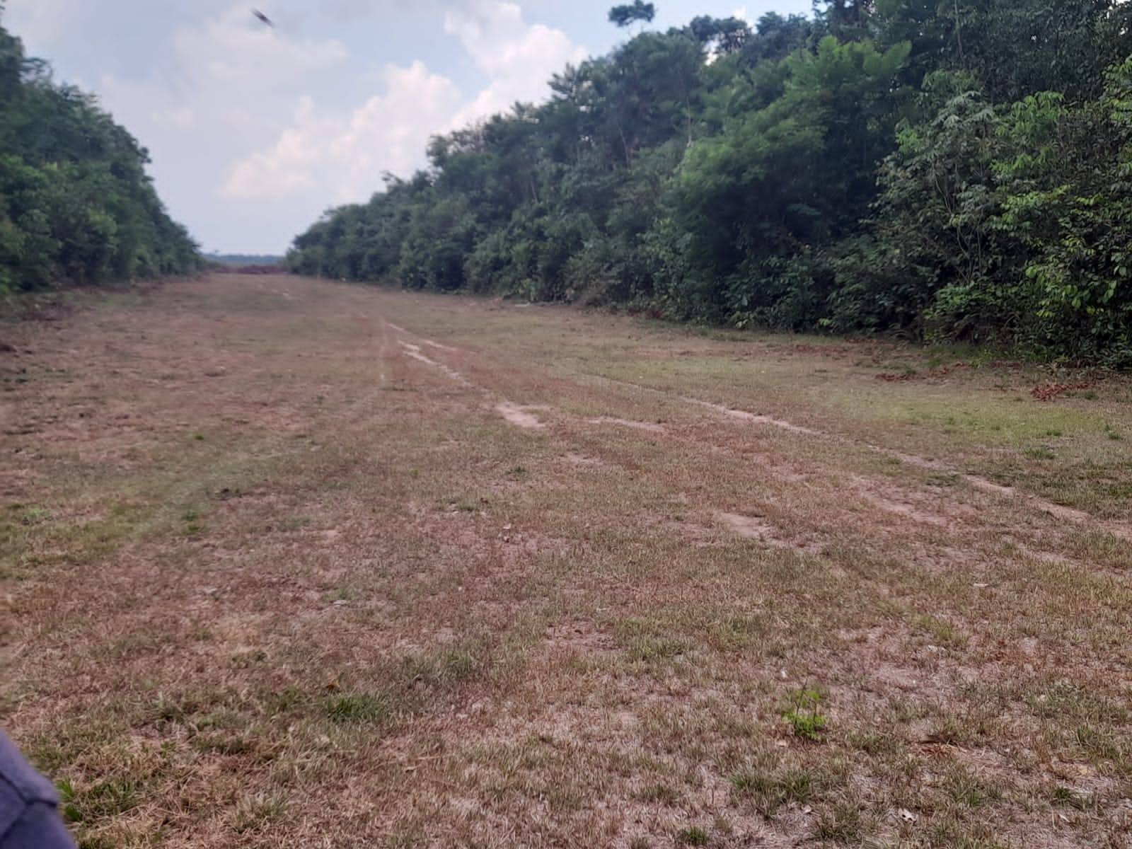 Patrullaje Rural descubre pista clandestina y aprehende a un brasileño en Beni