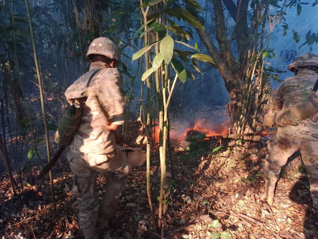 Defensa despliega más de 31 bomberos para sofocar incendio en el Área Protegida Pampas del Yacuma 