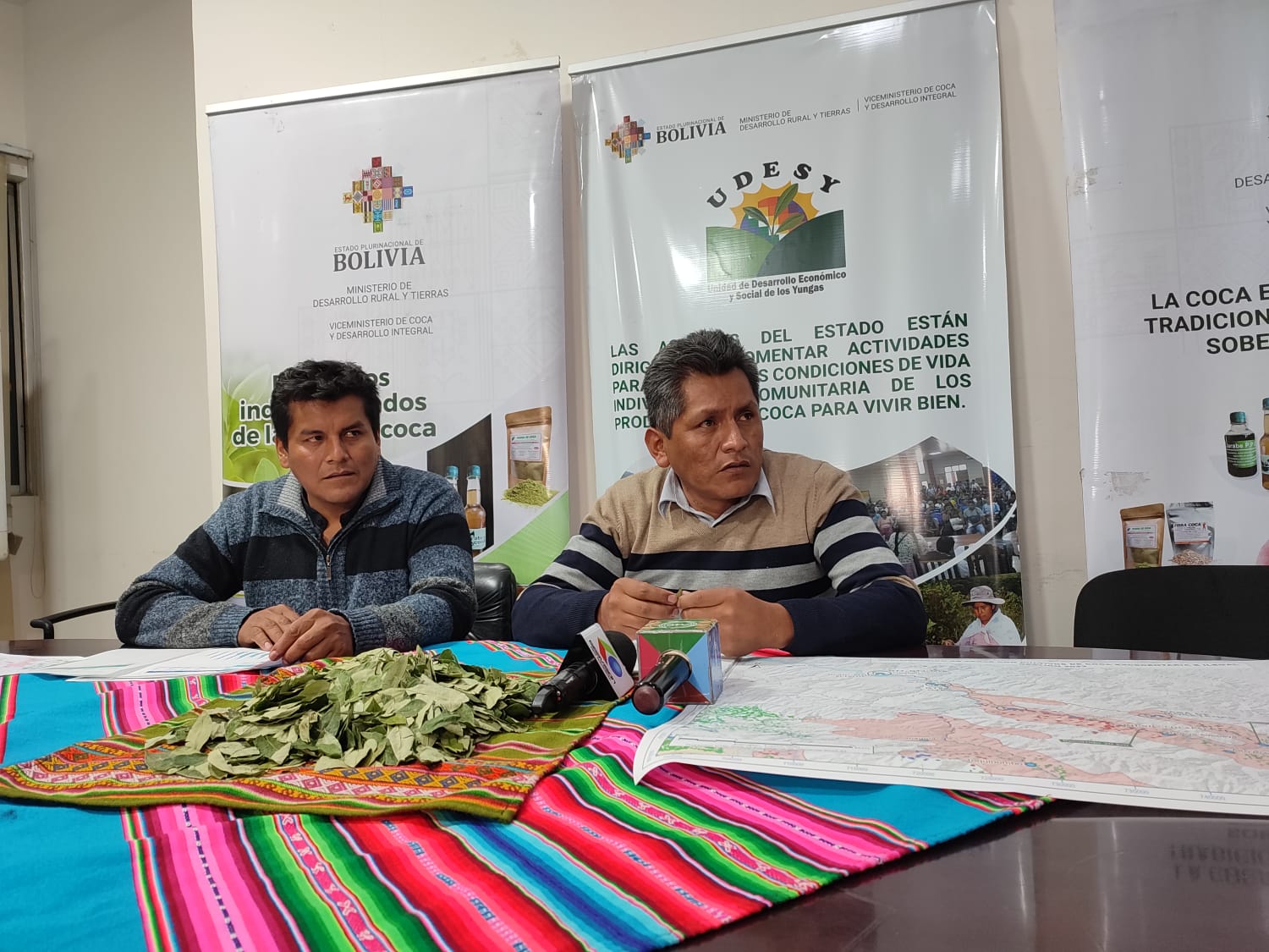 El viceministro de Coca y Desarrollo Integral, Jesús Chipana. Foto: MDRyT.