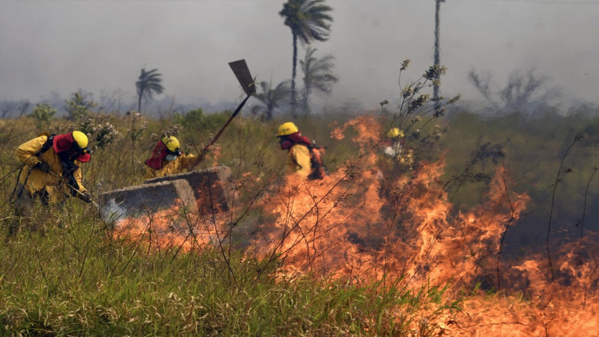 Bolivia amanece con 1.624 focos de calor y bomberos sofocan incendios en tres departamentos 