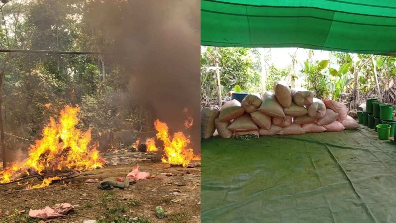 Destruyen 20 fábricas de elaboración de cocaína y aprehenden a dos personas en el Chapare