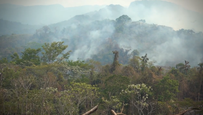 Incendios llegan a la reserva Pilón Lajas y amenaza a las nacientes de agua