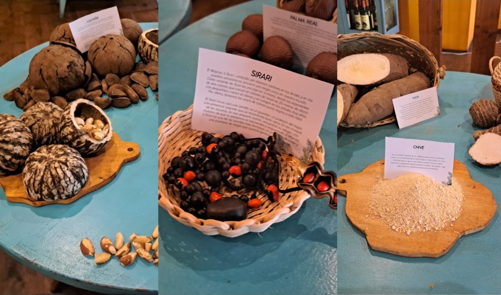 Presentan innovador menú amazónico para promover productos que se cultivan en armonía con la naturaleza
