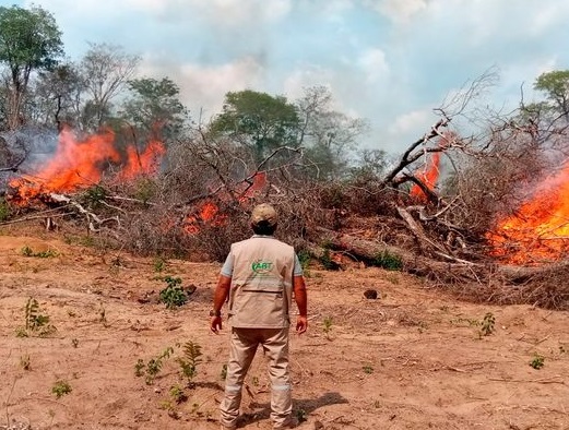 ABT entregó 129 notificaciones administrativas e inició 11 procesos penales
