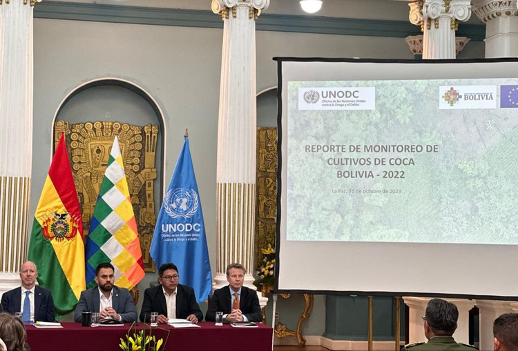 Bolivia reduce en 2% cultivos de coca y llegan a 29.900, la UNODC ve “un éxito del gobierno”