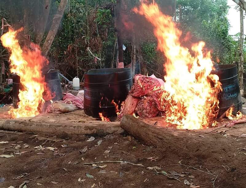 En el Chapare encuentran y destruyen 36 fábricas de droga