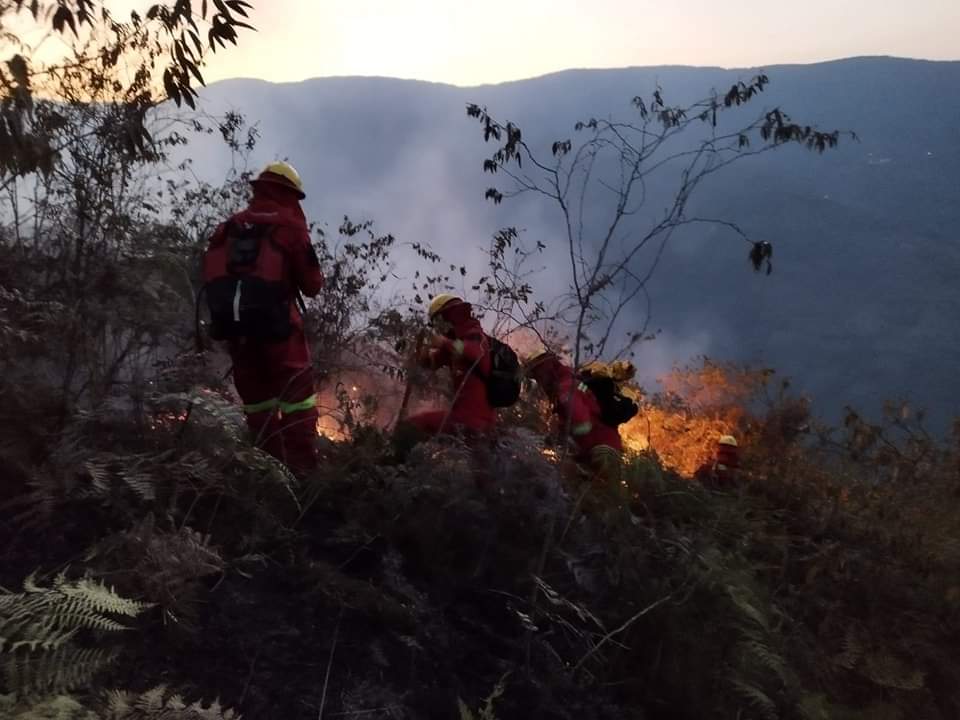 Calvimontes denuncia que incendios en La Paz fueron “provocados malintencionadamente”
