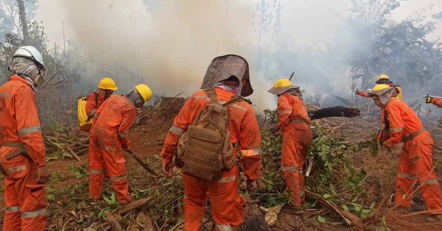 Incendios afectaron a más de 3 millones de hectáreas en el país y se activaron 11 procesos penales 