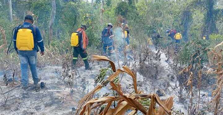Identifican 13 incendios dispersos en Rurrenabaque tras sobrevuelo