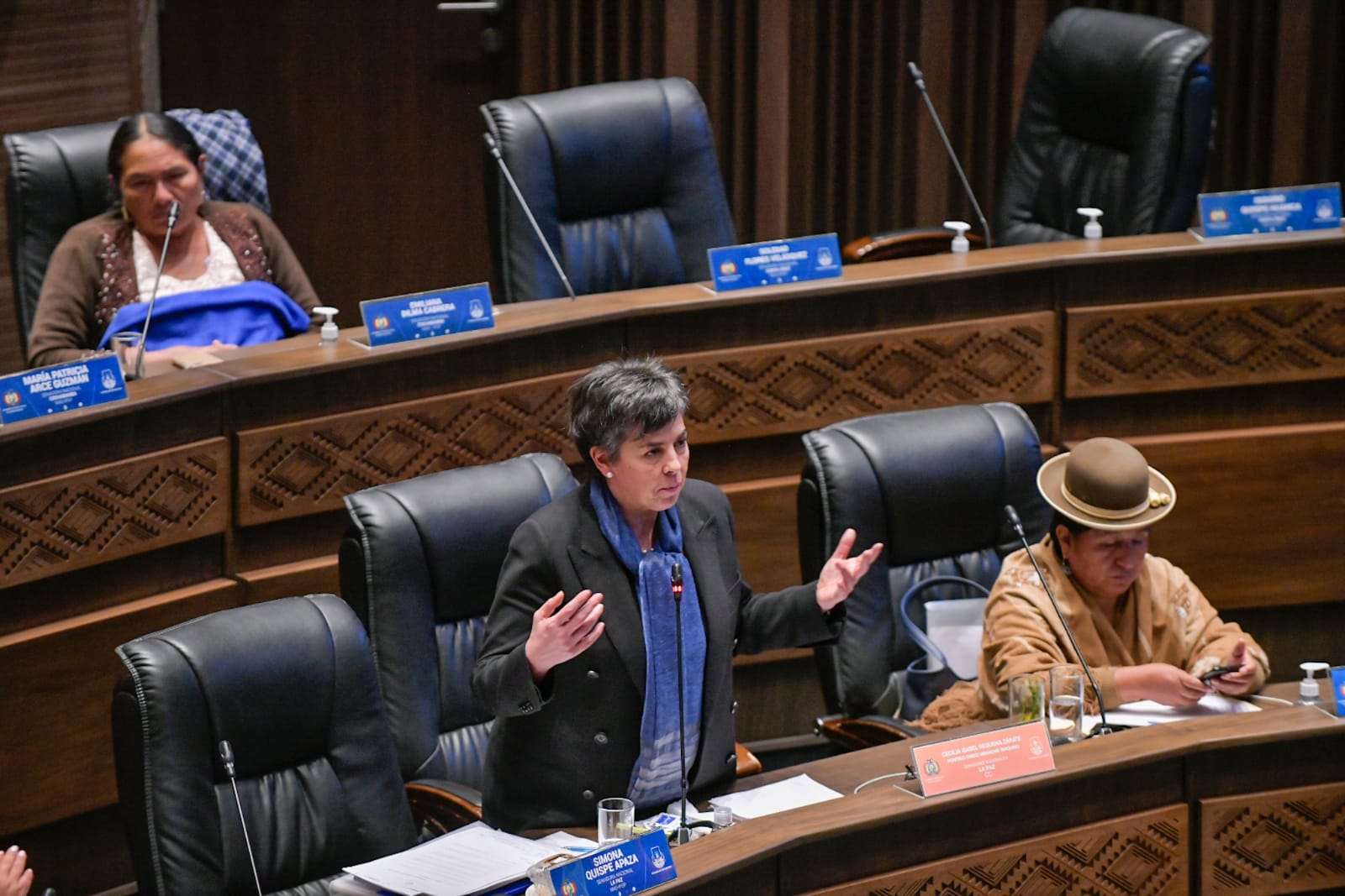 Senadora de CC revela uso de bengalas para activar incendios en el norte de La Paz y apunta a afanes de desestabilización