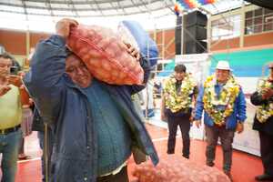 En 10 municipios de Cochabamba entregan semilla de papa e insumos a 2.244 familias productoras