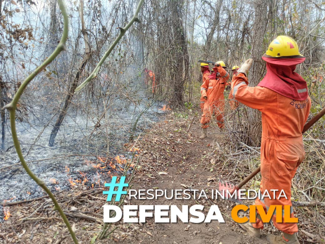 En Bolivia fueron sofocados 134 incendios y se entregaron más de 72 toneladas de ayuda humanitaria