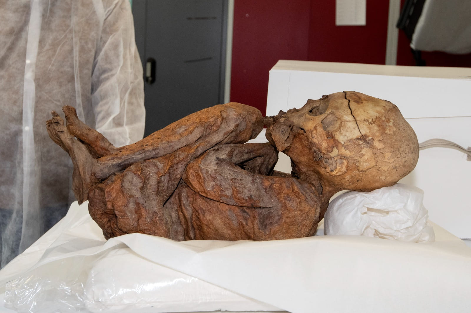 Tres momias de la cultura Pacajes llevadas a Suiza fueron devueltas a Bolivia