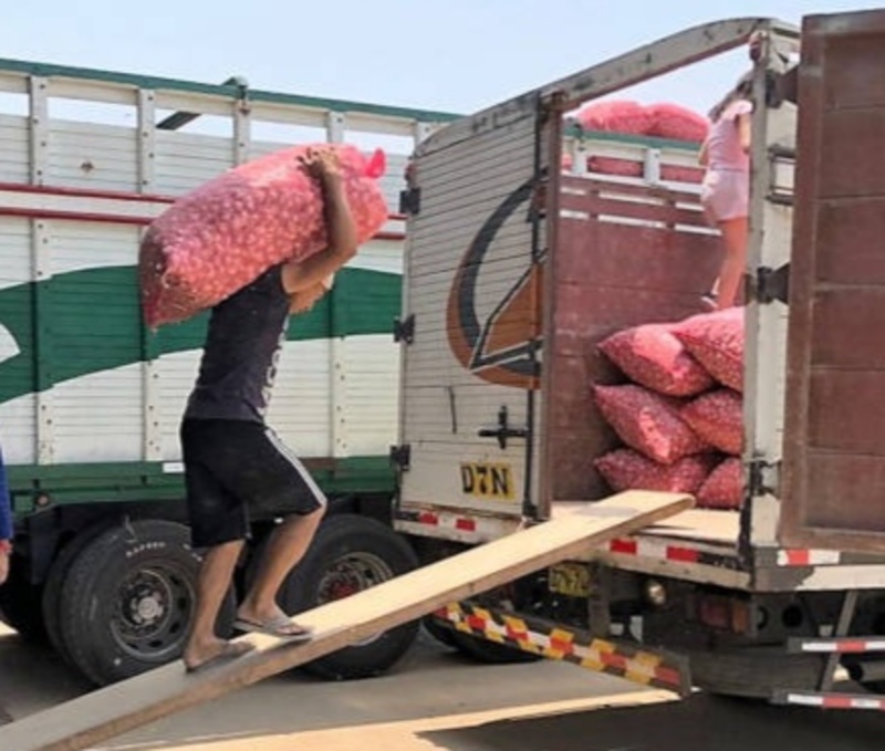 Trabajo interviene y logra que ocho estibadores impagos de Puerto Suárez cobren Bs 24 mil