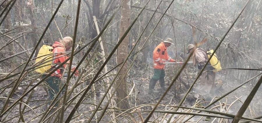 Incendios dejan en Bolivia 18.194 familias damnificadas y 133 viviendas afectadas, Gobierno empieza trabajo de reconstrucción