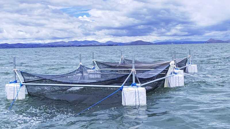 En Taraco entregan jaulas, equipamiento e insumos para fortalecer la producción piscícola